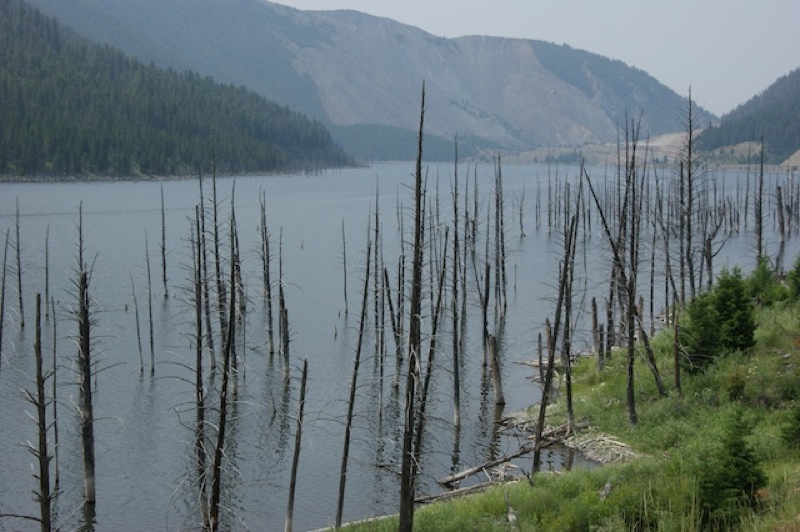 Lake Hebgen/Earthquake Area -  Montana